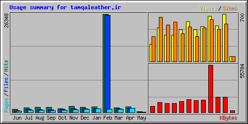 Usage summary for tamqaleather.ir